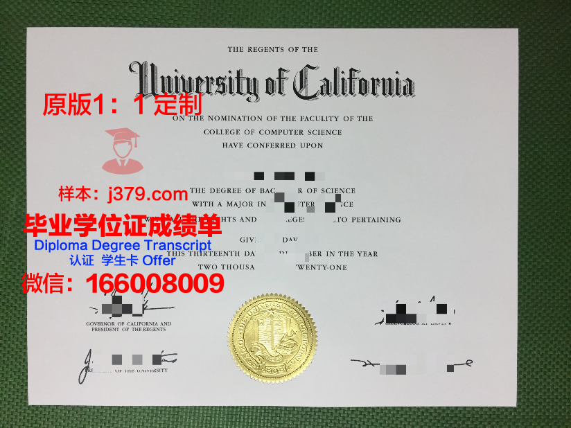 穆坦斯里亚大学博士毕业证:一份跨越国界的学术荣耀