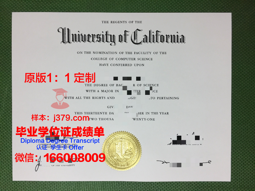 群马大学毕业证原件(求大学毕业证样本)