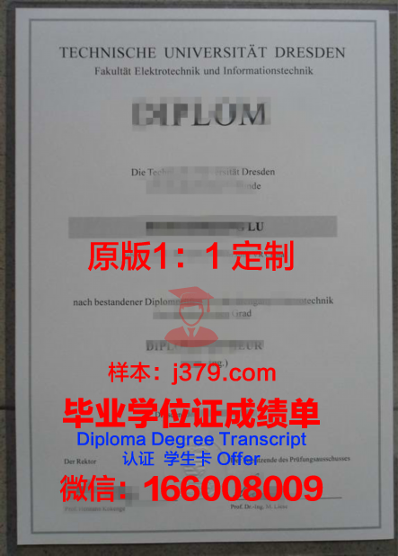 弗赖贝格工业大学毕业文凭