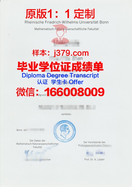 波恩大学 diploma 毕业证