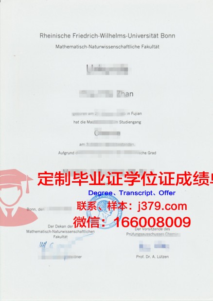 波恩大学毕业证封面(波恩大学毕业证封面图片)