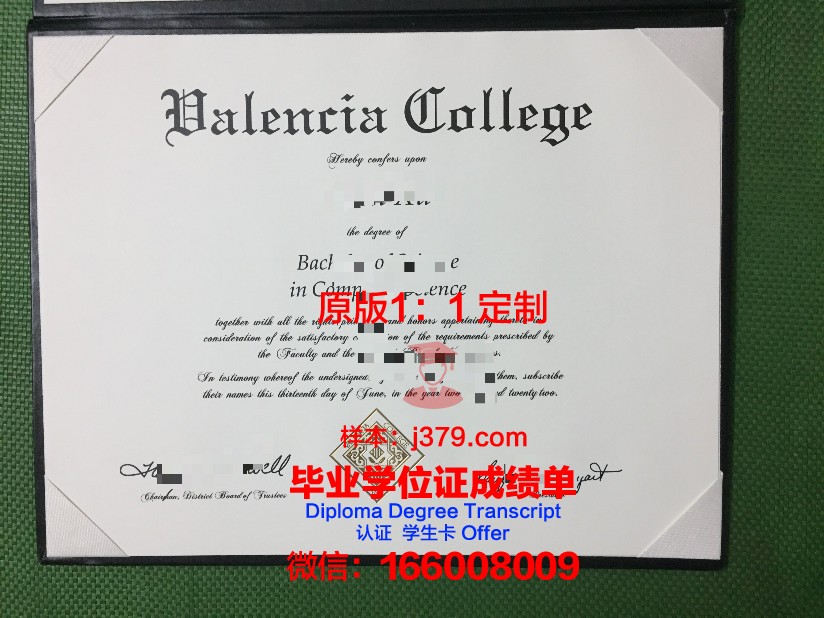 瓦伦西亚理工大学毕业证图片大全(瓦伦西亚理工大学qs)