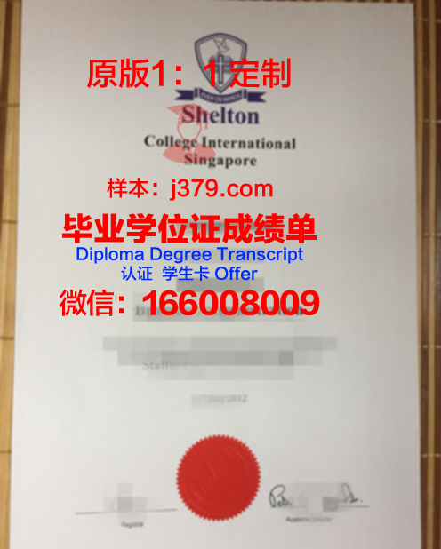 波尔多高等商学院毕业证模板(波尔多kedge商学院)