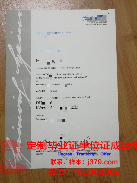 杜塞尔多夫艺术学院学位证(杜塞尔多夫学院派)