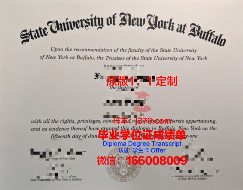 纽约州立大学石溪分校毕业证翻译(纽约州立大学石溪分校证书)