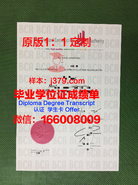 波尔多国立高等建筑与景观学院毕业证照片(波尔多大学建筑学院)