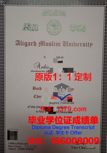 穆罕默德·阿里·金纳大学几年可以毕业证