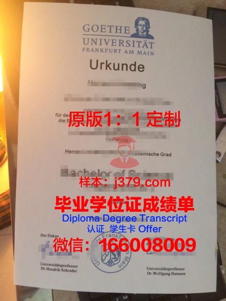 法兰克福音乐和表演艺术学院毕业证书模板(法兰克福学院派)