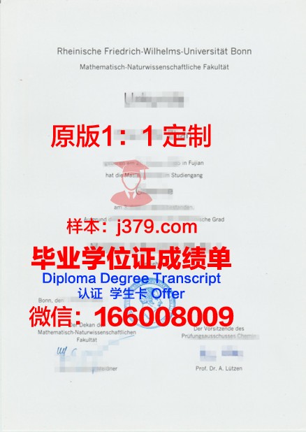 波恩大学毕业证书图片模板(波恩大学好毕业吗)