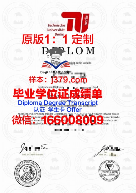 柏林工业大学毕业证样式(柏林工业大学毕业证样式图)
