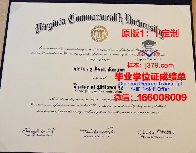 弗鲁米嫩塞联邦大学研究生毕业证书