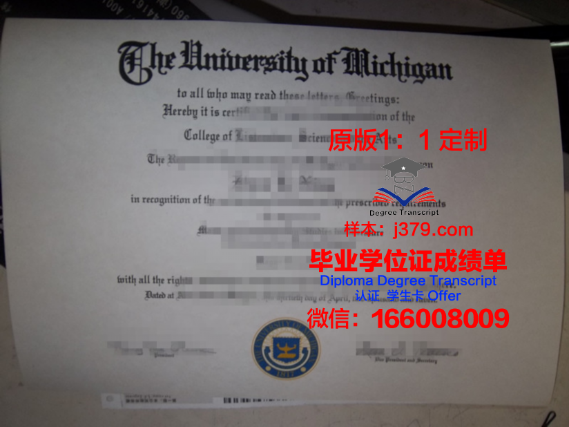 科希策工业大学本科毕业证:一份跨越国界的学术荣耀