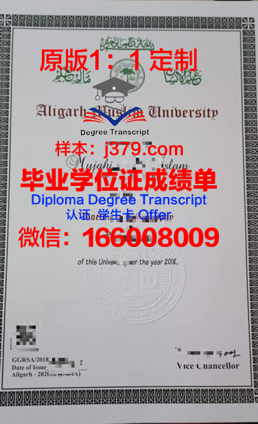 胡阿里布迈丁科技大学毕业证高清图