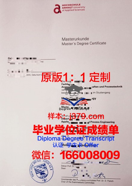 波恩-莱茵-锡格应用技术大学学历证书