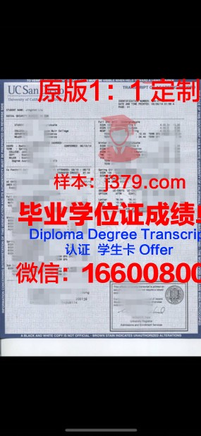 联酋大成绩单:一个沙漠王国的奇迹之路