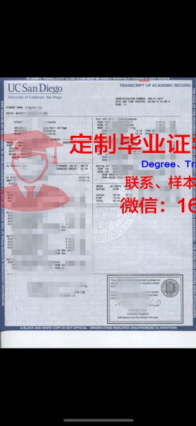 群马大学成绩单