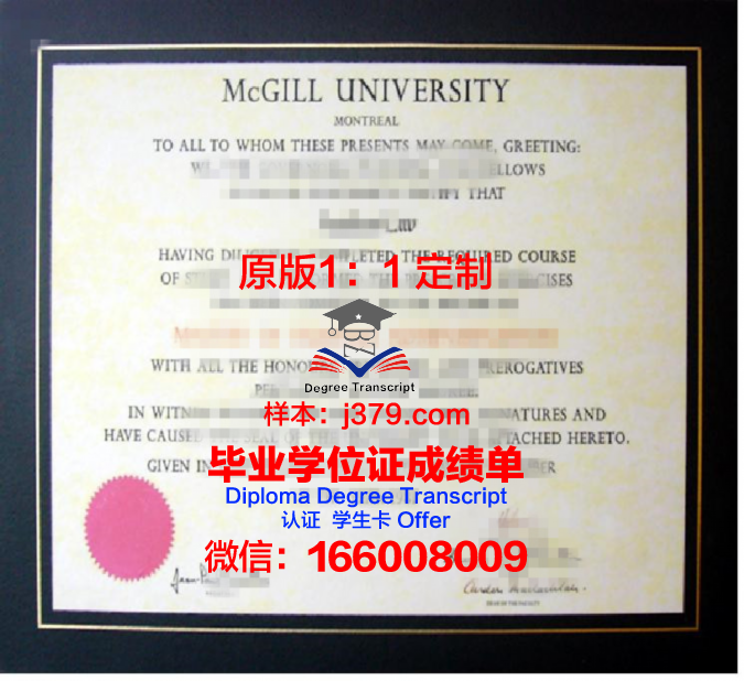 科工硕士学位证书图片高清:彰显学术成就的荣耀