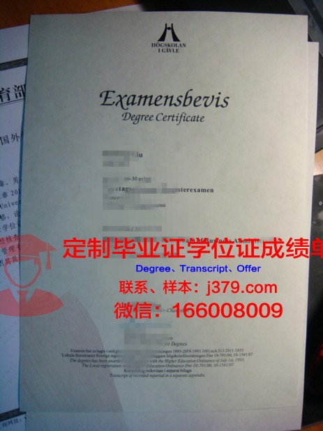 瑞典皇家理工学院的毕业证啥样(瑞典皇家理工学院本科)