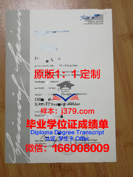 杜塞尔多夫应用技术大学学历证书(杜塞尔多夫艺术学院申请难度)