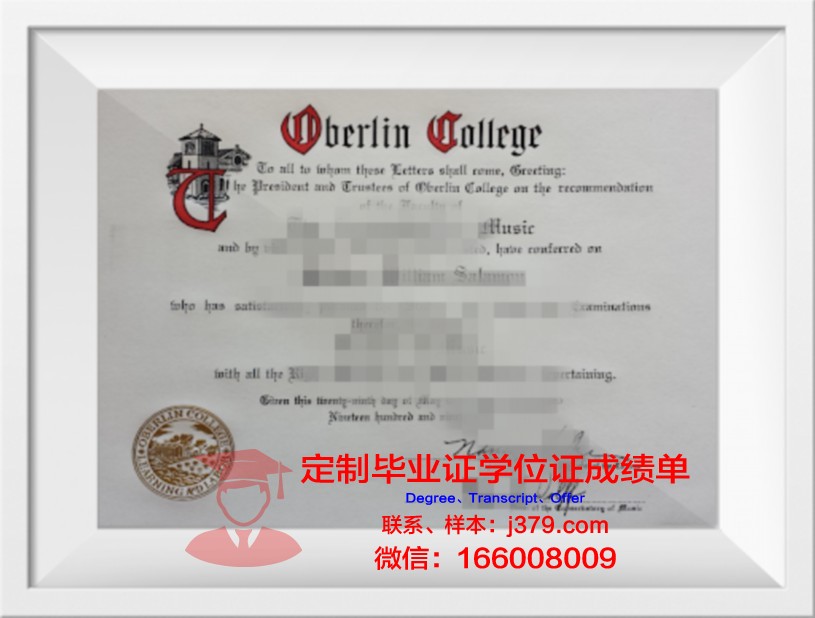 柏林自由大学本科毕业证
