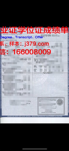 波洛茨克国立大学成绩单:一份国际认可的学术成就记录