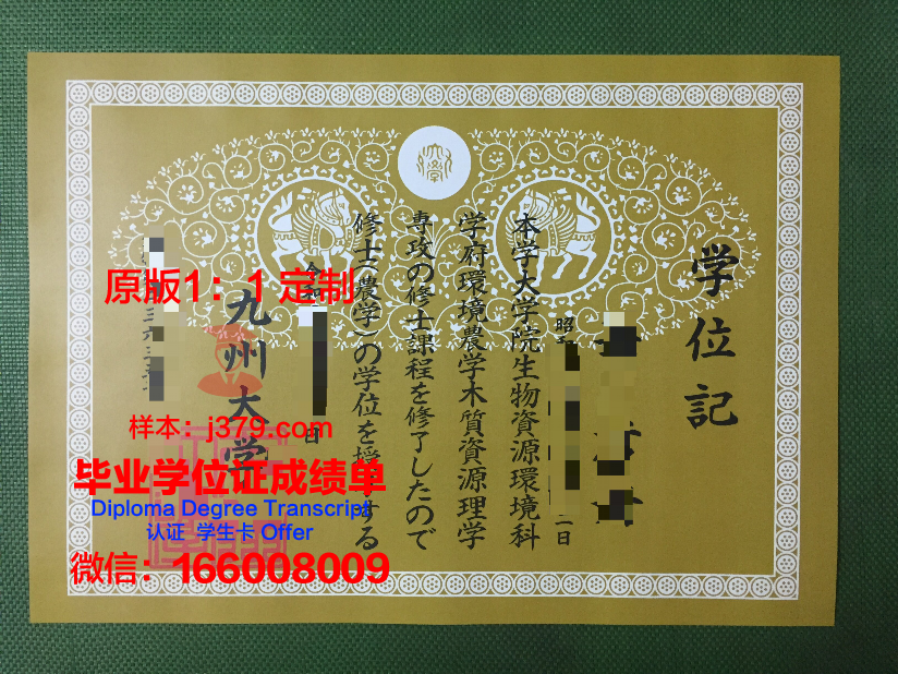 徐州九州大学毕业证国家承认吗