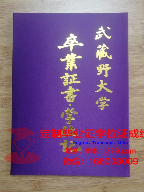波尔多综合理工学院-波尔多国立高等化学生物与物理学院毕业证壳子