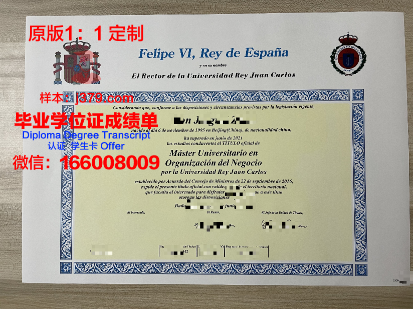 胡安卡洛斯国王大学毕业学位