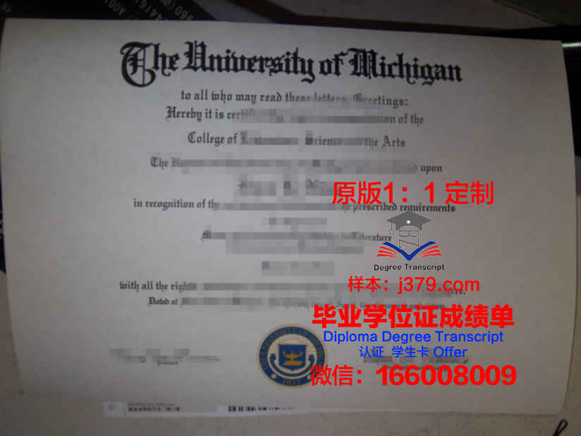 波尔多大学毕业证图片(波尔多大学毕业证图片样本)