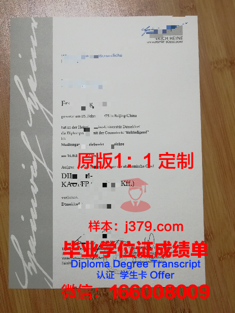 杜塞尔多夫应用技术大学毕业证模板(杜塞尔多夫时装设计学院)