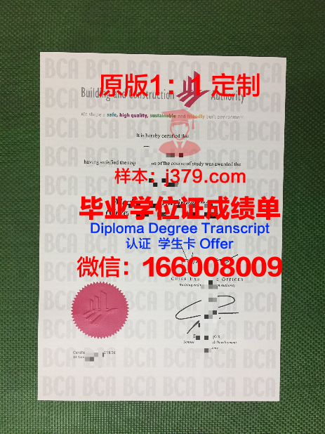 波尔多国立高等建筑与景观学院毕业证翻译(波尔多建筑景观学校)