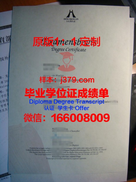 瑞典国防学院 diploma 毕业证