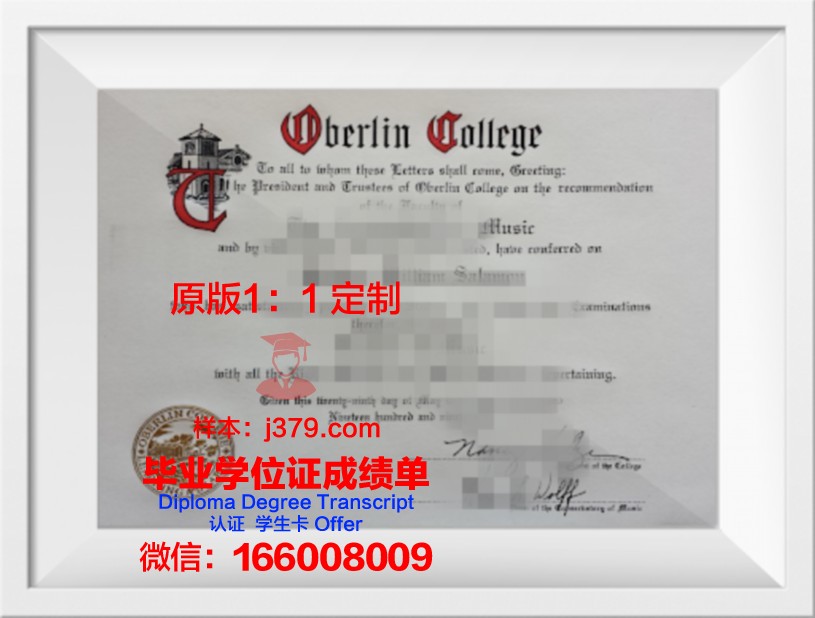 柏林工业大学毕业证图片