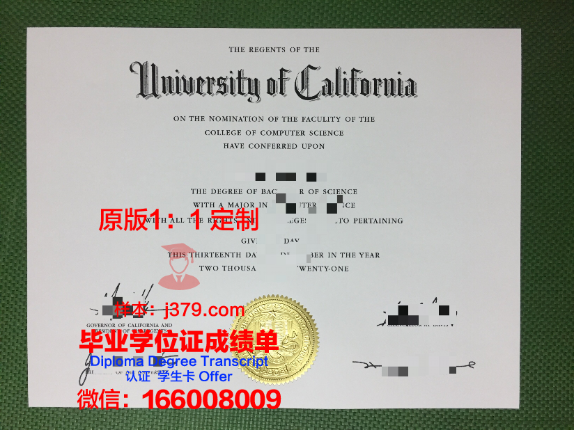 沙贝大毕业证:一张承载梦想与奋斗的纸