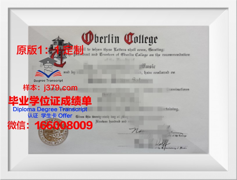 柏林工程与经济应用技术大学毕业证原版(柏林技术与经济应用科技大学)