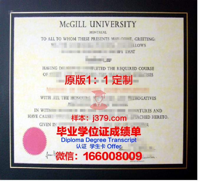 理工大学硕士学位证书:知识与能力的见证