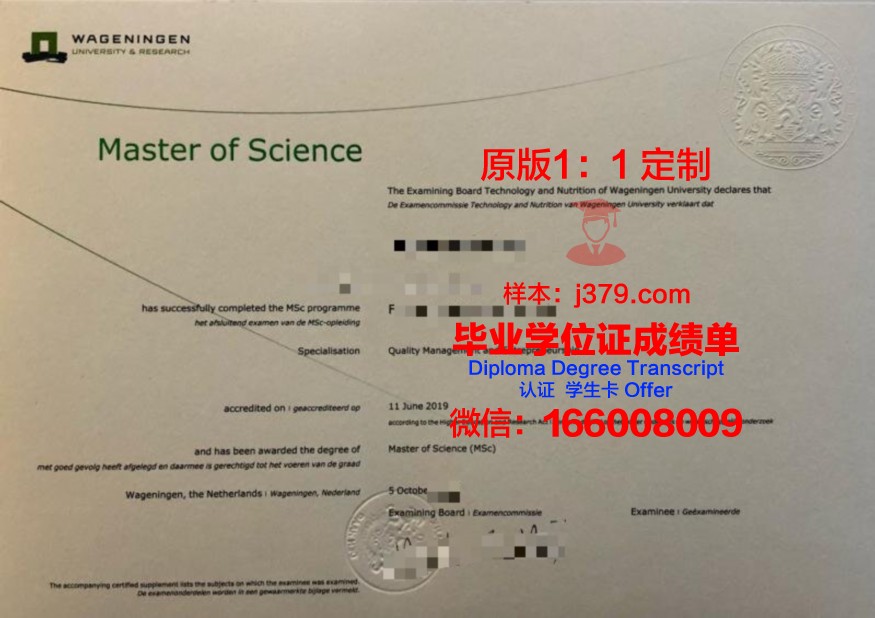 瓦格根成绩单:揭示教育本质的启示录