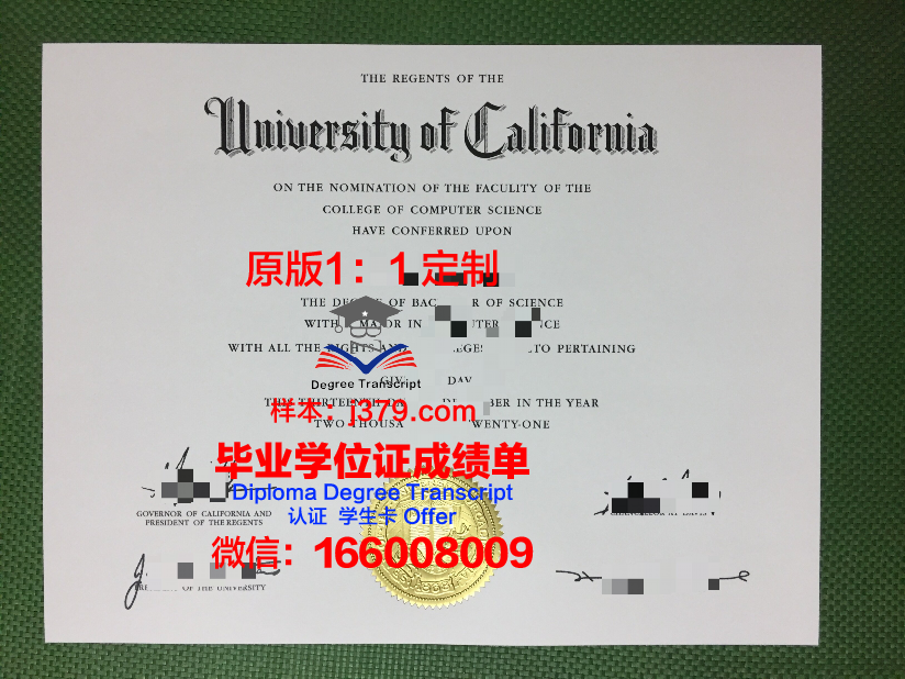 波恩-莱茵-锡格应用技术大学毕业证样式