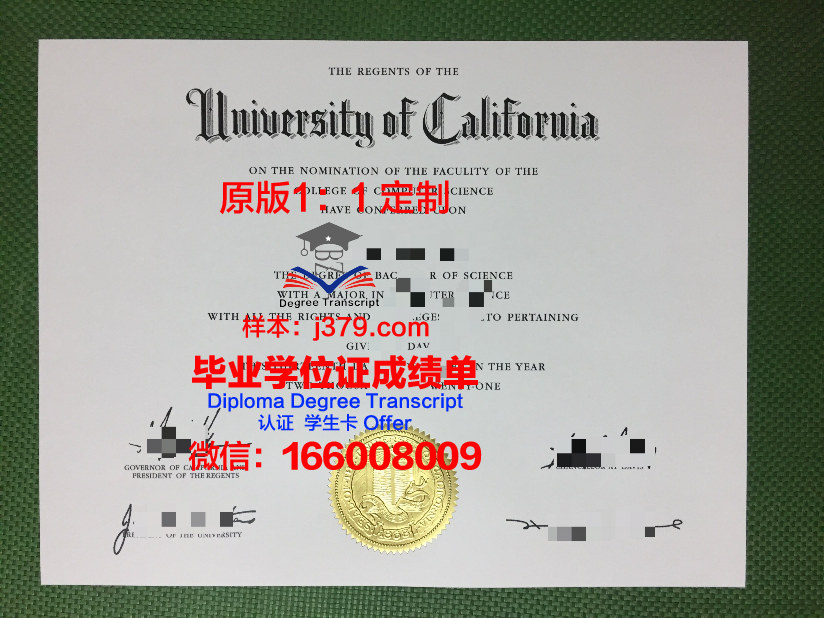 林奈大学毕业证定制:传承与创新的艺术结晶