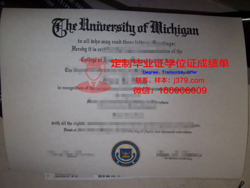 没有大学毕业证能考什么证
