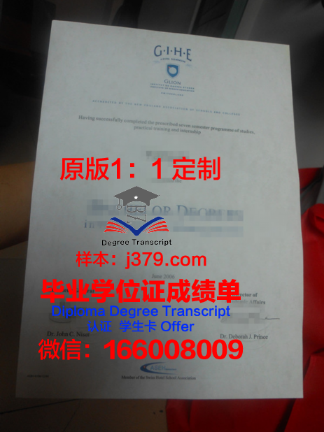 法国里昂中央理工大学毕业证Diploma文凭