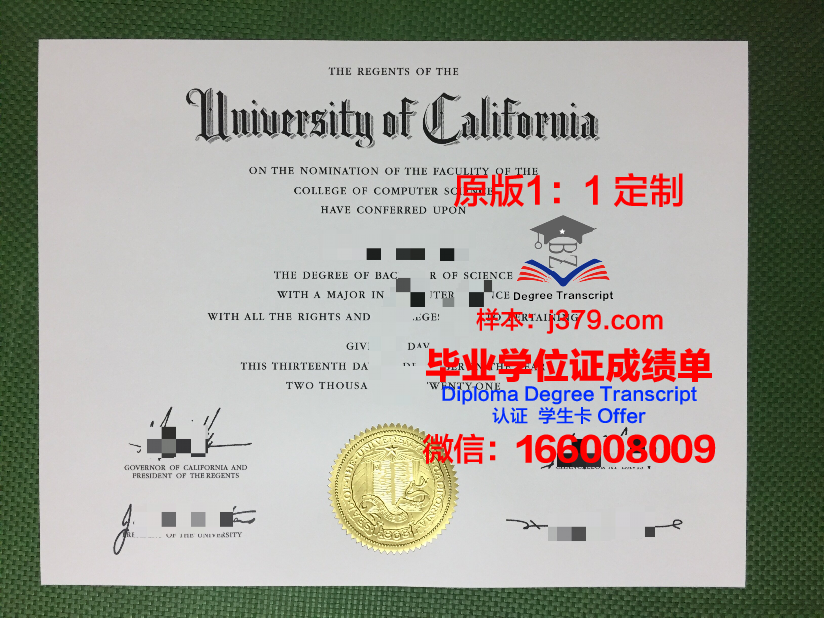 没有高中毕业证留学德国(没有高中毕业证可以出国读本科吗)