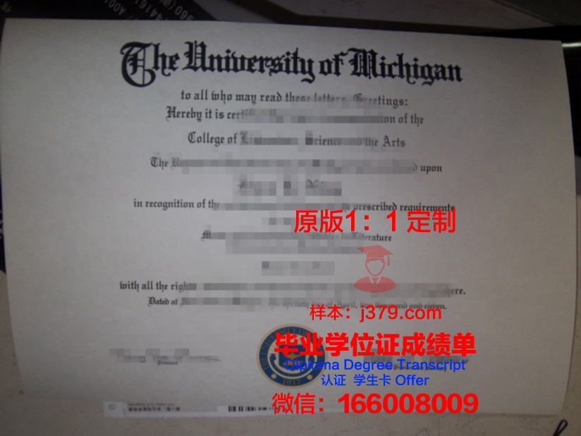 翁大毕业证:一张证书背后的故事