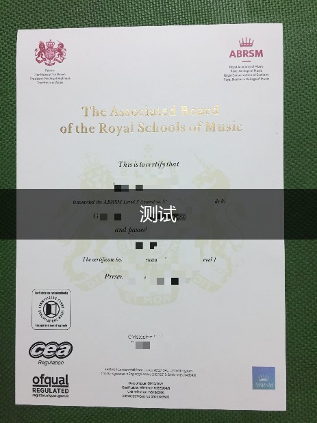 科蒂斯音乐学院毕业证案例(柯蒂斯音乐学院学位设置)