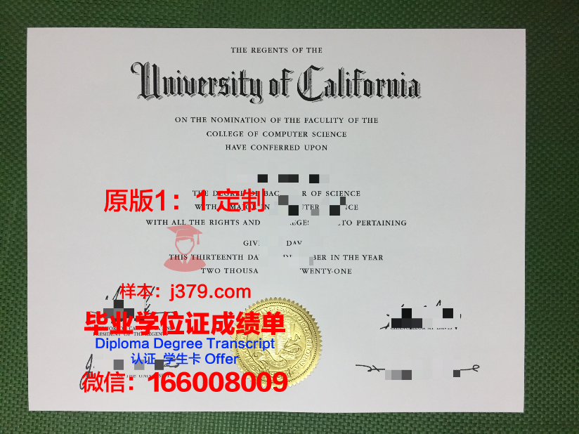 法国留学生没有毕业证(留学生没有毕业证怎么办)