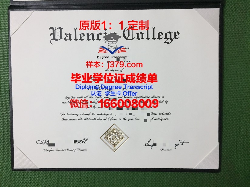 瓦伦西亚欧洲大学毕业证照片(瓦伦西亚的大学)
