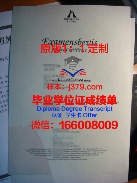 耶夫勒大学学院毕业证定制:传承与创新的艺术结晶