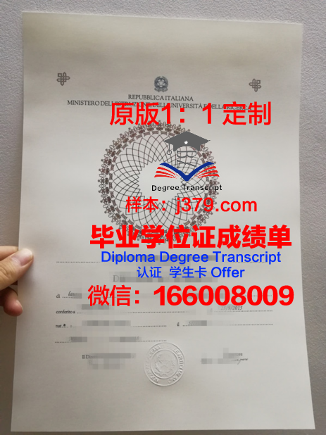 立万国际美术学院学生证