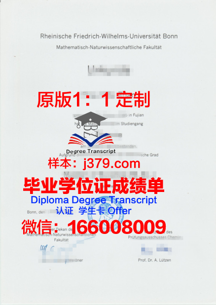 波恩大学毕业证封面(波恩大学毕业证封面图片)