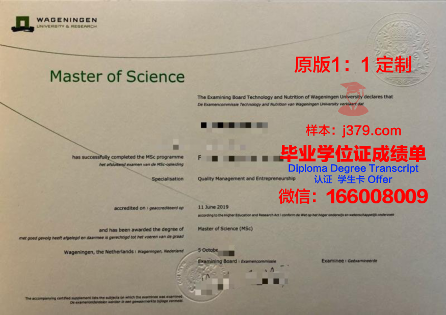 瓦格根成绩单:揭示教育本质的启示录